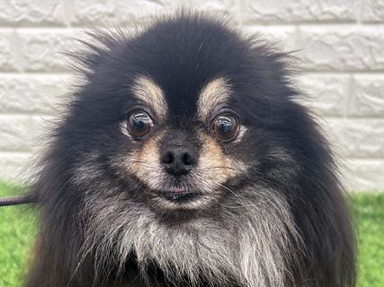 150236
