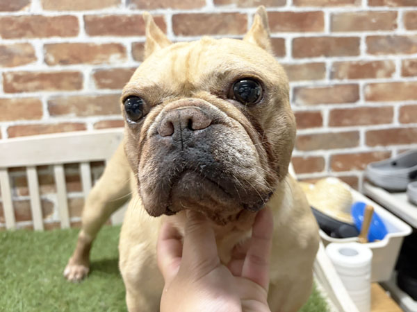 Slide Image