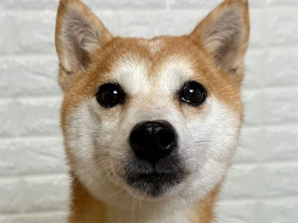 160159